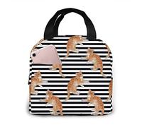 DJNGN Cat On Black Stripes Insulated Lunch Bag for Women Men Lunch Box Container Reusable Leakproof Cooler Tote Bags for Office Picnic Sporting