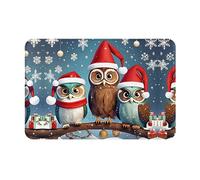 DJnni Cute Christmas Owls On Branch Door Mat Welcome, Outside Door Mats for Home Entry Floor, Easy to Clean, Patio Doormats, 16x24 Inch