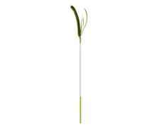 DJSKLDF Cat Wand Cat Teasing Stick Bite Resistant Soothing Tool Dog Sage Feather Tail Grass Toy Pet Supplies(Green)