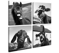 DJSYLIFE Black and White Wall Art Animal Wall Decor Horse Donkey Sheep Cow Canvas Prints Funny Farmhouse Decor Office Bedroom Multi-Room Wall Art 12x12 Inch Framed Set of 4