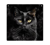 DJUETRUI A Black Cat on A Black Background Square Acrylic Hanging Ornament Clear Blank Pendant Blank Square Hanging Ornament Transparent DIY Accessories for Art Making