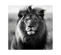 DJUETRUI African Lion Black And White Square Acrylic Hanging Ornament Clear Blank Pendant Blank Square Hanging Ornament Transparent DIY Accessories for Art Making