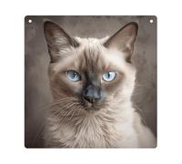 DJUETRUI Beautiful Siamese Cat Square Acrylic Hanging Ornament Clear Blank Pendant Blank Square Hanging Ornament Transparent DIY Accessories for Art Making