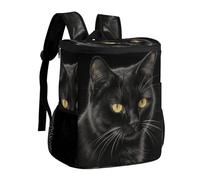 DJUETRUI Black Cat Insulated Cooler Backpack Durable Polyester Twill Leakproof Thermal Bag with Adjustable Straps Multi-use Pack for Picnic Camping Hiking Varied Outdoor Activities