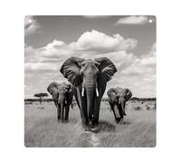 DJUETRUI Elephant Walking Square Acrylic Hanging Ornament Clear Blank Pendant Blank Square Hanging Ornament Transparent DIY Accessories for Art Making