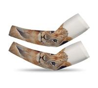 DJUETRUI Small Lion Arm Sleeves for Men Cooling Compression Arm Sleeves Sun Protection Arm Sleeves Tattoo Cover Up, Style, S