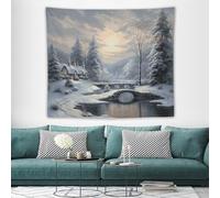 DJUETRUI Tapestry Wide Wall Hanging Winter Snow Scene Tapestry Soft Lightweight Wall Blanket Funny Tapestry Aesthetic Background Wall Art Home Decor Vintage Mural for Bedroom Dorm Living Room 50"x60"