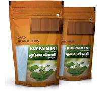 DK Kuppaimeni | Indian Acalypha | Indian Nettle Leaves Powder, 100g (Pack of 2)