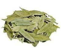 DK Senna Leaf 50Gms *2 Pcs |Sonamukhi-Patta | Swarnamukhi | Sanaya LeaveS