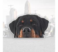 DK158 Rottweiler Vinyl Sticker 15 x 9 cm Powerful Guard Dog Sticker for Car, Truck, Laptop, Window, Bold Dog Decor, Pack of 2