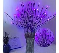 DK177 2 Pack Led Branch Light Battery Operated Lighted Branch Vase Filler Willow Tree Artificial Little Twig Power Brown 30 Inch 20 LED for Home Outdoor Indoor Romantic Decoration, Purple Light
