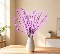 DK177 2Pack Led Branch Light Battery Operated Lighted Branch Vase Filler Willow Tree Artificial Little Twig Power Brown 30 Inch 20 LED for Home Romantic Decoration, 2Pack Redlight