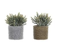 DKD Home Decor Decorative Plant, Standard