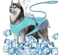 DKDDSSS Dog Cooling Vest, Dog Cool Jacket, Breathable Pet Cooling Coat, Summer Cooler Vest for Medium Large Dogs Walking Outdoor (L Blue)