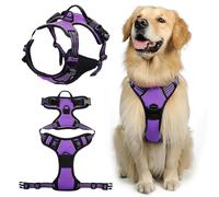 DKDDSSS Dog Harness, Dog Harness Medium, No Pull Pet Harnesss, Easy Control Handle for Training or Walking, Purple (S)