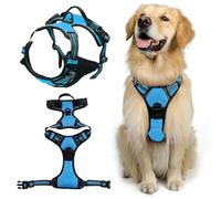 DKDDSSS Dog Harness, Medium, No Pull, Breathable, Adjustable, Easy Control Handle (M Blue)