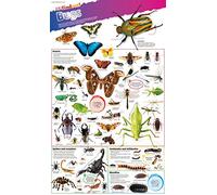 Food For Free (Collins Gem) (Paperback) - Richard Mabey Book