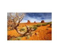 DKJAHSEK Fish Tank Background Decoration Aquarium Background Ornament Poster Desert Landscape Self Adhesive Fish Tank(Color3,50x100cm)