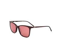 DKNY DK500S Sunglasses for Women Oxblood