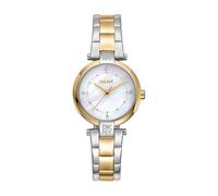 DKNY Essential Mini DK1L043M0075 - Woman - 28 mm - Analogue - Quartz - Mineral Glass Mother of pearl 28 mm