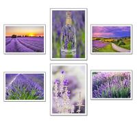 DKORARTE Set of 6 A4 Decorative Wall Sheets for Pictures Living Room Decoration Modern, Bedrooms, Room, Without Frame, Landscape, Nature, Fields Lavender Brihuega (29.7 x 21 cm)