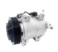 Dks17d Ac Air Conditioning Compressor Compatible for Nissan Pathfinder MK3 R51 2005 to 2012 2.5 92600EB300 926004X30A 926004X01B 92600EB01A