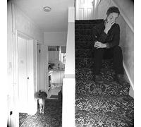 DL Burdon - Accidental Aesop