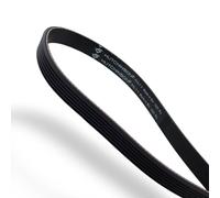 DL-pro V Belt for Miele, High Tension Tested as 4693121, Washing Machine Spare Part