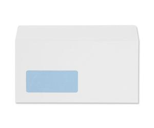 DL Wdw Wallet Env Plsl WHT PK500