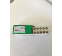 DL1 BLB Schneider BA15d Incandescent Bulb, Clear, 208 mA X10 Ref239/333/336