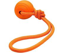 DLDER Dog Ball on a Rope, Floating Foam Dog Toy, Tug Ball for Small to Large Dogs, Aggressive Chewers