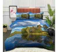 DLERFLOVR Super King Duvet - Artificial Lake In Leningrad Oblast Coverless Duvet - All Seasons Tranquil Lake Duvet- Quilt with Pillowcases - Lightweight Washable Comforter 240x260cm Blue