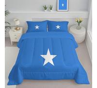 DLERFLOVR Traditional Culture Coverless Duvet King, Reversible Comforter with Pillowcase Lightweight and Warm Somali Flag Quilt Bedding Set for All Season, 240x220cm, Light Blue