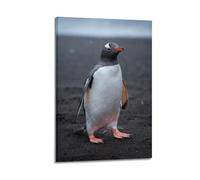 DLJGDS Animal Black Sand Beach Standing Penguin Decorative Painting Canvas Wall Posters And Modern Family Bedroom Decor 24x36inch(60x90cm)