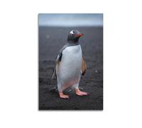 DLJGDS Animal Black Sand Beach Standing Penguin Decorative Painting Canvas Wall Posters And Modern Family Bedroom Decor 24x36inch(60x90cm)