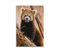 DLJGDS Animal Red Panda Sitting on A Branch in The Forest Decorative Painting Canvas Wall Posters And Modern Family Bedroom Decor 16x24inch(40x60cm)