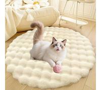 DLLDLGG Area Rugs for Living Room Bedroom, Fluffy Dog Cat Bed Mat, Indoor Soft Shaggy Floor Carpet, Deluxe Plush Anti-Slip Pet Sleep Cushion, Washable(White,31in)