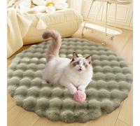 DLLDLGG Area Rugs for Living Room Bedroom, Fluffy Dog Cat Bed Mat, Indoor Soft Shaggy Floor Carpet, Deluxe Plush Anti-Slip Pet Sleep Cushion, Washable(Green,13in)