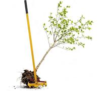 DLLDQBD Post Puller For Pulling Out Wood Posts, Portable Sapling Puller Tree Root Remover Tool, Leverage Stake Puller Extraction Lifter For Woody Stems