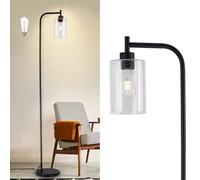 DLLT Floor Lamp Tall for Room: Black Standing Lamp with Seeded Glass Lampshade for Bedroom - Modern Bright Lamp for Living Room - Industrial Corner Floor Lamps for Office 8W Led Bulb Included