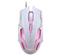 DLT AYSMG V10 USB 6-keys 2400DPI Four-speed Adjustable Steel Mesh Backlight Wired Optical Gaming Mouse, Length: 1.45m(Black) (Color : White)