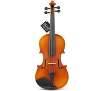 D'Luca PROJBV44 Strauss Professional Violin Outfit 4/4 with SKB Case, Strings and Tuner