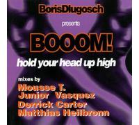 Dlugosch, Boris - Hold Your Head Up High (Remixe