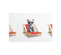 DLXW Kitten basking in The Sun on a Chair Printed Placemats Set of 6 - Washable Polyester Fiber Placemats for Dining, Kitchen, Hotel, Home, and Banquet Decorations