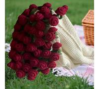 DLZFUDTY Crochet Flowers Rose Bouquet Blanket Handmade, Soft and Lightweight Romantic Rose Flower Bouquet Knitted Throw Blankets, Gift for Mother's Day, Valentine’s Day(Material package) (red)