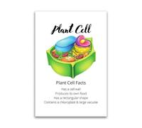 DLZHZDIH Plant Cell Science Poster Biology Educational Wall Chart for Classroom and Home Study Area Unframed,08x12inch(20x30cm)