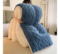 DMBAOD Duvet, winter quilting blanket thick lamb-cashmere, soft sleeping ceiling bed lid without cover, flowers 4 seasons duvet, plush winter blanket blue 150x200cm 3kg