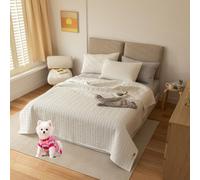 DMBAOD Queen Size Quilt Set, Four Seasons Simple Bedroom Bed in a Pocket, Bedding Set with Quilt, Sheet, Pillowcase and Pillow Case (1 Quilt and 2 Pillowcases) pure white 200x230cm