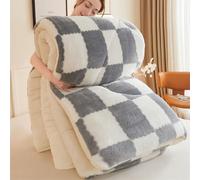 DMBAOD Thickened Super Soft milk velvet Winter Quilt, Warm Thickened milk velvet Comforter Core,Breathable Warmth Fluffy Plush Sided Velvet Blanket grey. 200x230cm 5kg