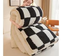 DMBAOD Thickened Super Soft milk velvet Winter Quilt, Warm Thickened milk velvet Comforter Core,Breathable Warmth Fluffy Plush Sided Velvet Blanket black 150x200cm 2.5kg